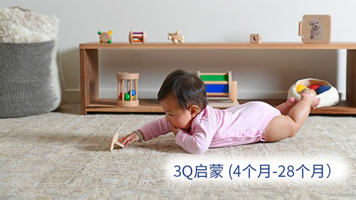 3Q启蒙（4~28个月）
本课程为早期教育必修课，帮您充分把握宝宝的敏感期，针对婴幼儿的体能、手眼协调、认知、音乐、社交等等能力进行系统训练。